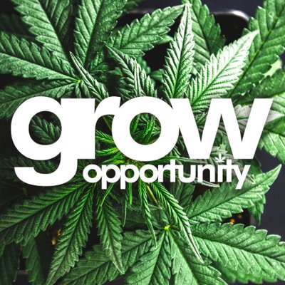 Grow Opportunity