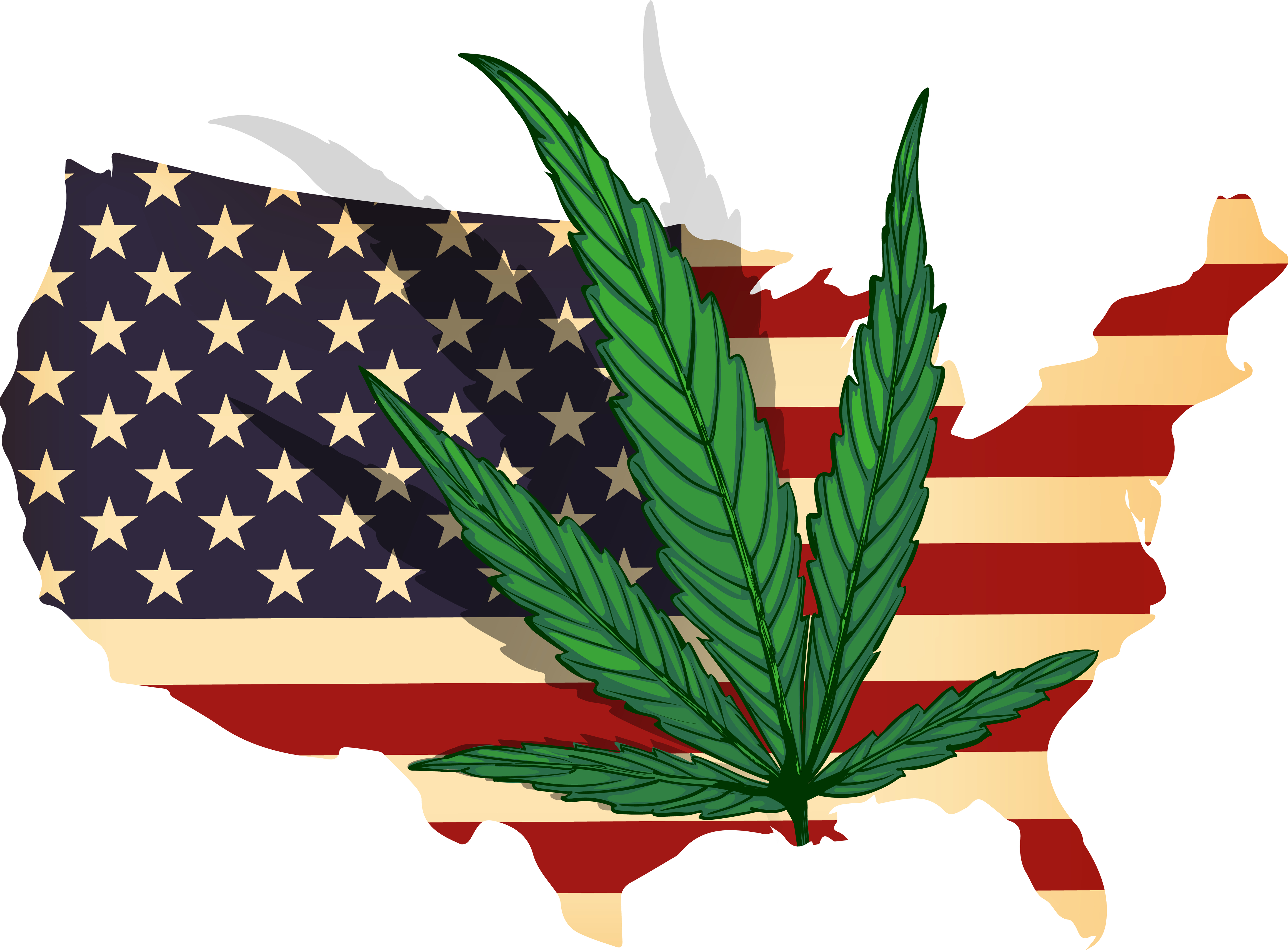 Cannabis - USA