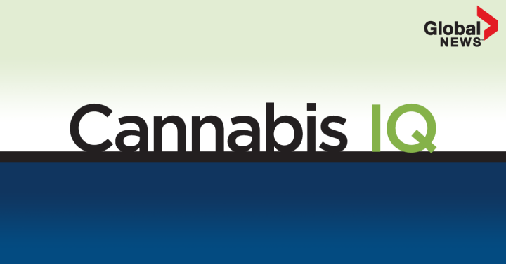 cannabisiq_newsletter_fb-feature-image